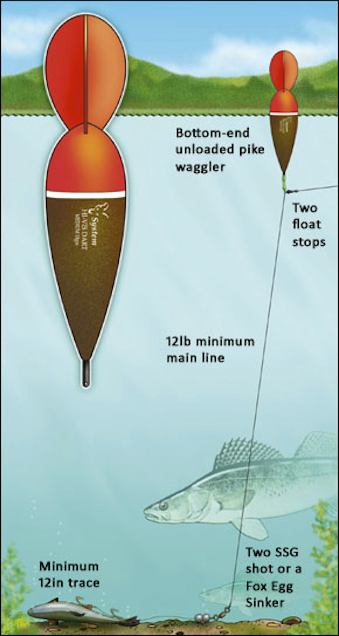 HOW TO AVOID DEEPHOOKING PIKE WHILE DEADBAITING Angling Times